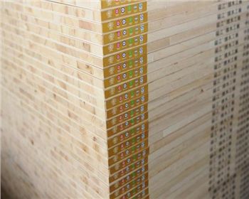 【西安木工板】怎樣簡單識別細木工板的好壞